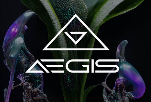 AEGIS is an international non-profit organization. We develop initiatives that allow us to tackle philanthropic challenges in a holistic way. Learn how →