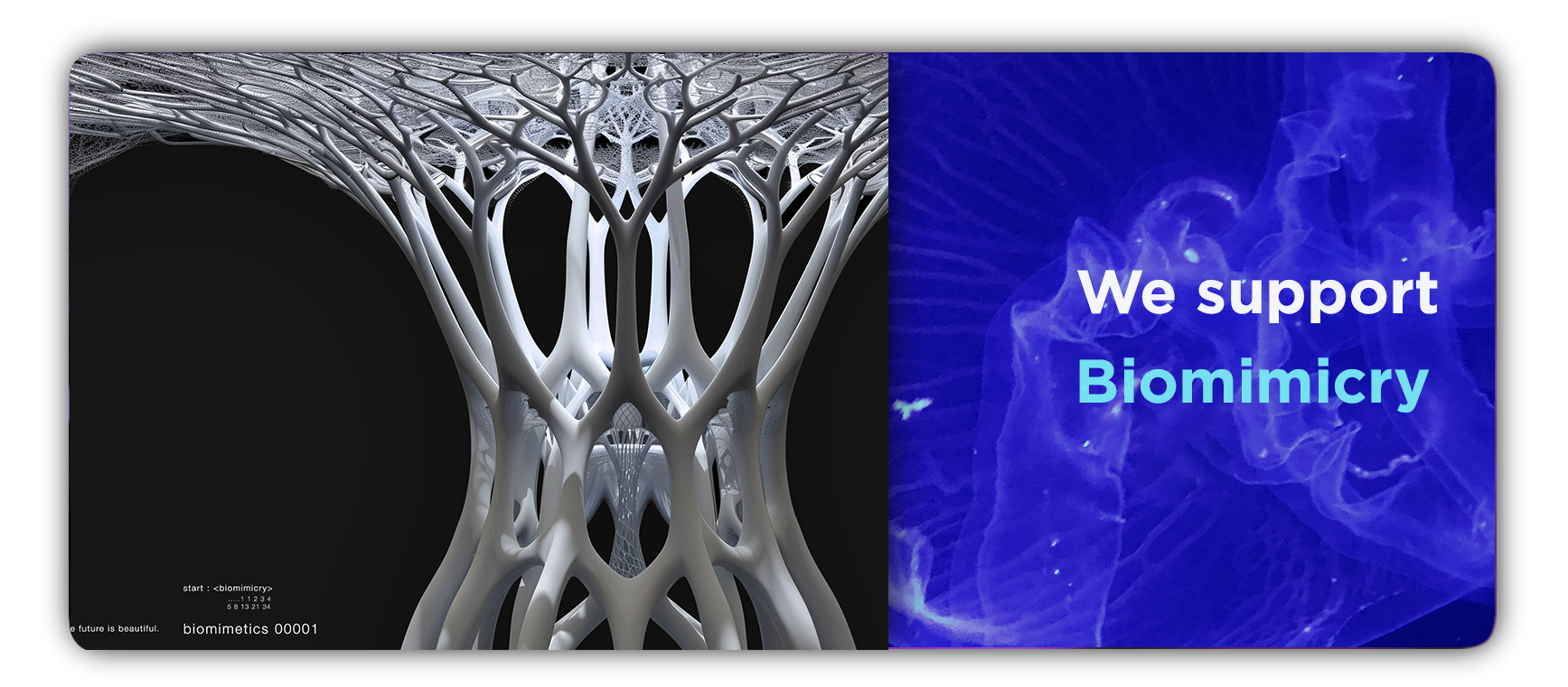 WE-SUPPORT-BIOMIMICRY